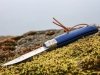 Nóż Opinel Colorama 08 inox grab granatowy z rzemieniem